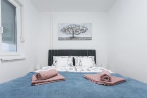 奥西耶克Apartman Lariva的一间卧室配有一张床,上面有两条毛巾