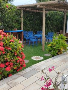 伊塔乌纳斯Pousada Zimbauê的庭院设有蓝色的桌椅和鲜花