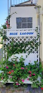 内仁Blue Lagoon的花朵花楼蓝色泻湖的标志