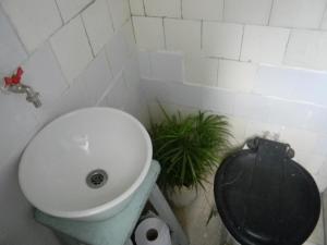 布宜诺斯艾利斯Pinzon P&G的一间带卫生间和植物的浴室