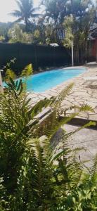帕拉蒂Pousada Vila do Sonho的前方种植着植物的蓝色游泳池