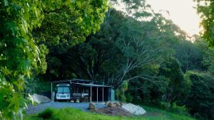 RosebankMesa Bus - Deluxe Byron Hinterland Eco Stay的森林中的小小屋