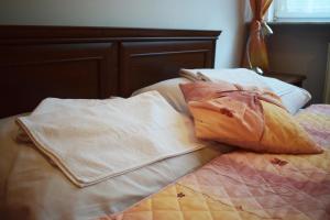 霍茹夫Hotel Skaut的床上有2个枕头