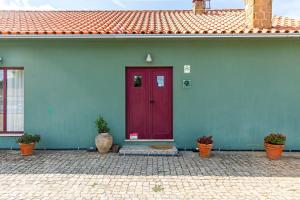 CarragozelaQuinta do Chão da Vinha的一座绿屋,有红门和盆栽植物
