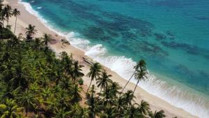 坦加拉Sandhara Home Stay的棕榈树海滩的空中景致