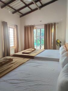 戈卡尔纳Trippr Gokarna - Beach Hostel的一间卧室设有两张床和窗户。