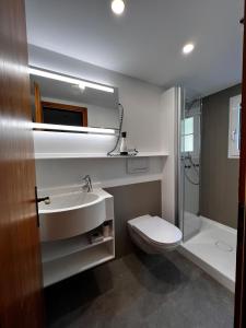 阿罗萨Hotel Arlenwald的一间带水槽、卫生间和淋浴的浴室