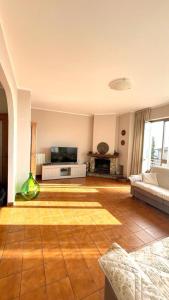 蒙蒂尼奥索Beatrice Apartment Crocello的带沙发和电视的客厅