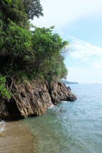 象岛象岛小屋酒店的树木和海洋的岩石海岸