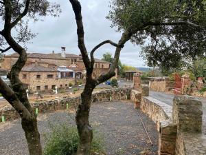 AlmendralCasas Rurales Monasterio de Rocamador的享有村庄和树木的景色