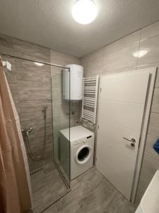 乌罗舍瓦茨ShooTer Apartments的一间带洗衣机和卫生间的小浴室