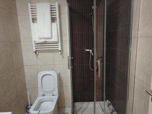 阿尔卡拉德荷那利斯Casa Jaime的一间带卫生间和淋浴的小浴室