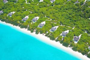 迪德赫胡海德维海滩度假及spa酒店的享有海滩的空中景致,拥有树木和蓝色的海水