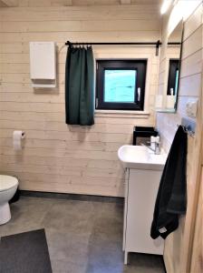 索克莱克Sowi Stok的一间带水槽和卫生间的浴室以及窗户。