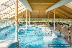 德科克斯多普克瑞姆特克塞尔度假公园的一群人在游泳池里
