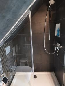 卡塞尔Dachstudio Herkulesblick的带淋浴和盥洗盆的浴室