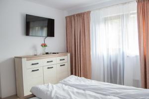 BăniţaAgropensiunea turistică Pasul Merișor的一间卧室配有一张床和一个带电视的梳妆台