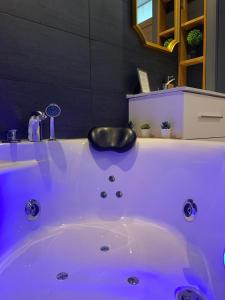 尚贝里L'Appart d'Hugo的浴室设有浴缸和黑色水槽。