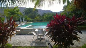 帝力马里纳默克天堂度假村的一个带椅子的游泳池,并种植了棕榈树