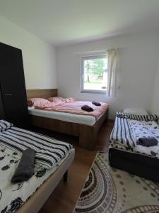 别拉什尼察Cozy Holiday Home的一间卧室设有两张床和窗户。
