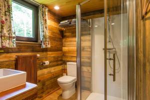 胡法利兹Tiny House Cetturu - 2-pers luxe en romantisch boshuisje的浴室配有卫生间、淋浴和盥洗盆。