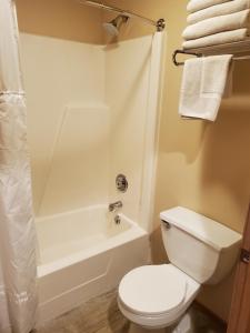 鱼溪鱼溪宅基套房 的浴室配有白色卫生间和淋浴。