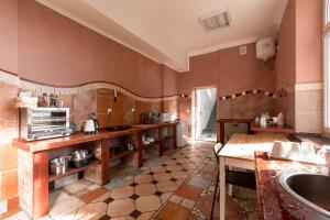 华沙Casa De Wawa的一间设有棕色墙壁和水槽的大厨房
