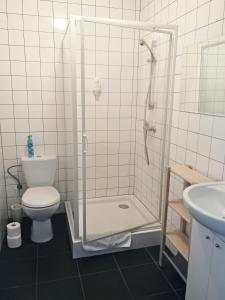 米迪格兹欧兰斯卡酒店的带淋浴、卫生间和盥洗盆的浴室