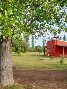 圣拉斐尔Finca La Calma的树旁田野上的红色建筑