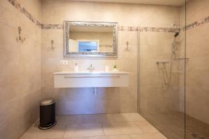 巴特格莱兴贝格Residenz Styrian Toskana Splendid的一间带水槽和淋浴的浴室
