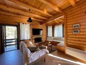 Chalet Klimatia - Όμορφη ξύλινη μεζονέτα με τζάκι的带沙发和壁炉的客厅