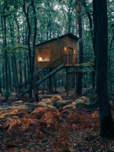 La Couture-BousseyYouza ecolodge的森林中的一个树屋