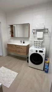 赛特朵夫Ferienwohnung Karasek Deluxe的一间带洗衣机和水槽的浴室