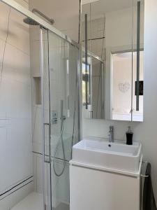 卢加诺SKY的白色的浴室设有水槽和淋浴。