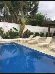 朱奎Casa charmosa Juquehy的一个带躺椅的游泳池,并种植了棕榈树