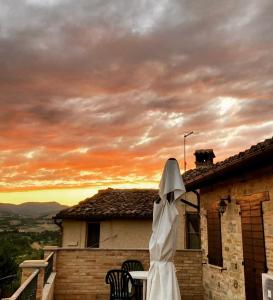 圣塞韦里诺马尔凯老橄榄树林农家乐的修女站在房子的屋顶上