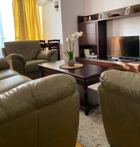 蒂米什瓦拉MV Central Apartment & Garage - Self Check-in的客厅配有两张沙发和一台电视