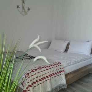 ŻarnowskaŁebskie Zacisze - apartamenty Łebska Ostoja- Piaskowa的一间卧室配有白色床单和植物