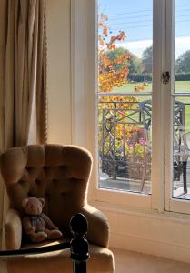 汤顿Farthings Country House Hotel & Restaurant Tunton的坐在窗边椅子上的泰迪熊