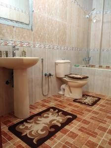 瓦尔扎扎特Villa Eden的一间带卫生间和水槽的浴室