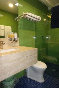 瓜纳华托Terra Vista的绿色浴室设有水槽和卫生间