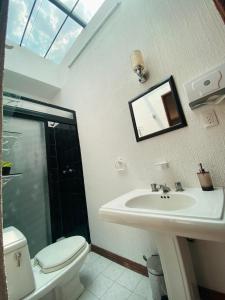 墨西哥城Cozy Private Room的一间带水槽、卫生间和镜子的浴室