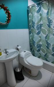 帕拉卡斯Hostal Brisa Marina的浴室设有卫生间、水槽和淋浴帘