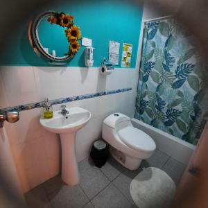 帕拉卡斯Hostal Brisa Marina的一间带水槽、卫生间和镜子的浴室