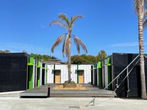 卡尔斯The Sea Pavilions的黑绿色建筑前的棕榈树