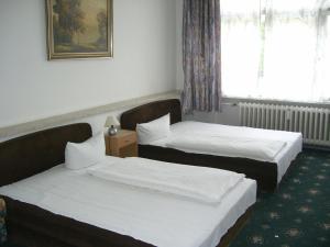 柏林梅斯餐厅的酒店客房设有两张床和窗户。