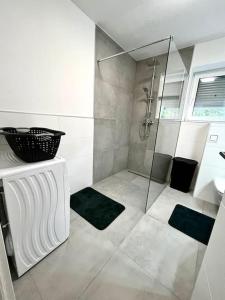 菲拉赫AB Apartment Moderne Zweizimmerwohnung的带淋浴和盥洗盆的浴室