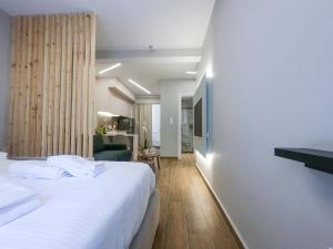 比雷埃夫斯Elegant Suite - Piraeus的一间酒店客房,配有一张床和一台电视