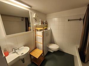布达佩斯Stylish holiday Art apartment - wifi & great location的一间带水槽和卫生间的小浴室