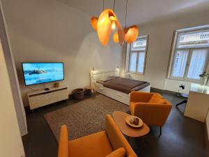 布达佩斯Stylish holiday Art apartment - wifi & great location的带沙发和电视的客厅